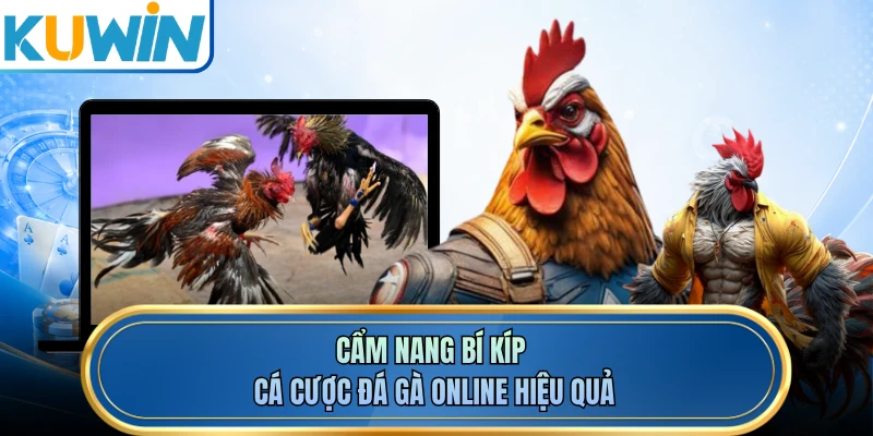 Cẩm nang bí kíp cá cược đá gà online hiệu quả